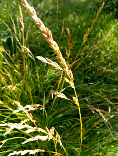 Wojsławickie Klimaty - galeria zdjęć